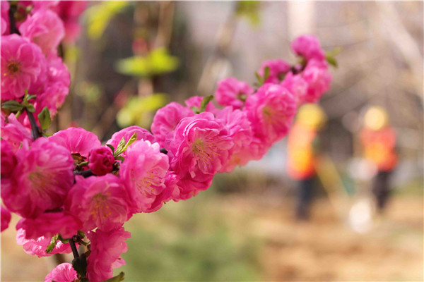 ��ҳ| ���������й��ٷ���վ