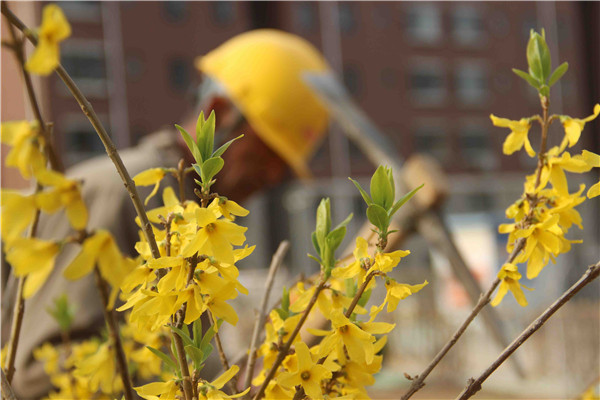 ��ҳ| ���������й��ٷ���վ